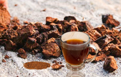 Thảo mộc Chaga tốt cho sức khỏe